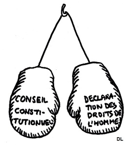dessin représentant le Conseil constitutionnel et la déclaration des droits de l'homme en gants de boxe